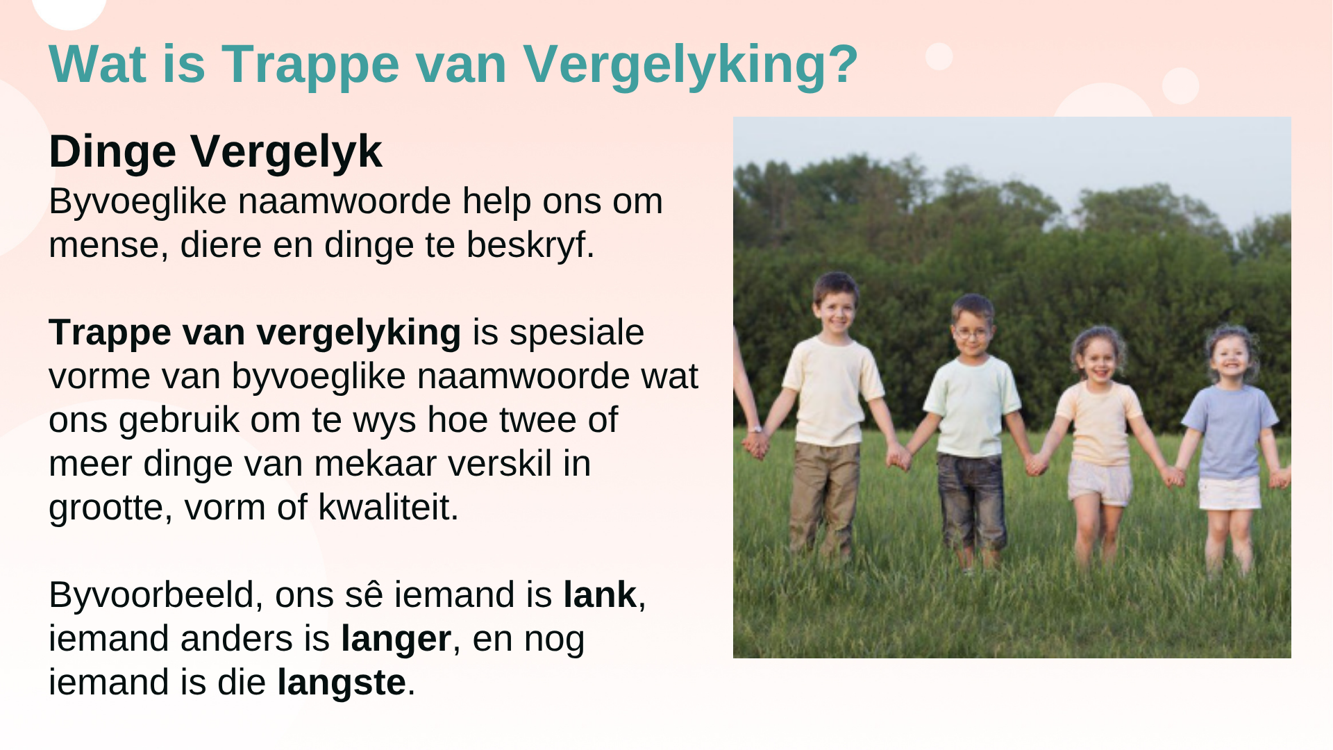 Wat is Trappe Van Vergelyking?