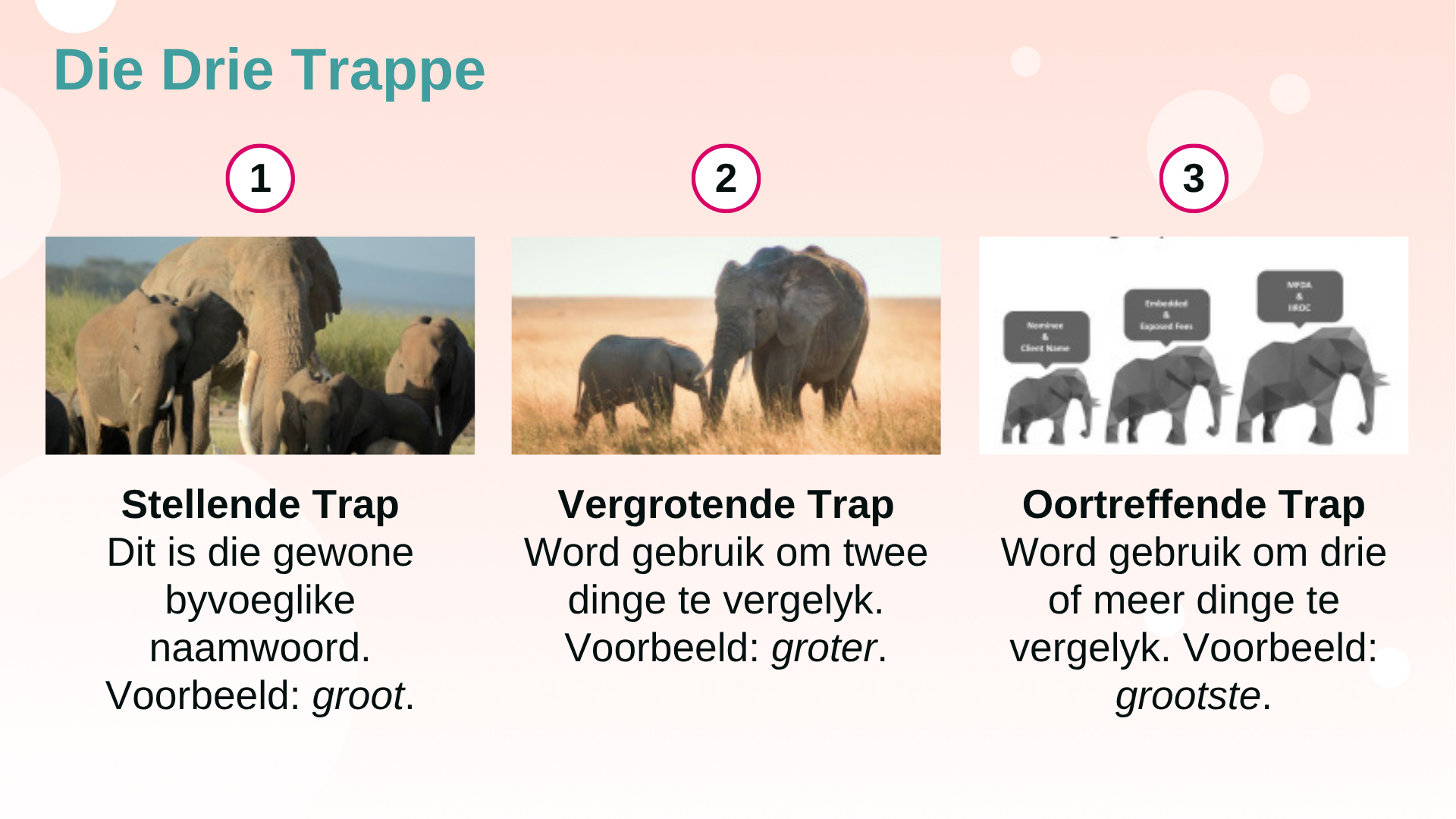 Wat is Trappe Van Vergelyking?
