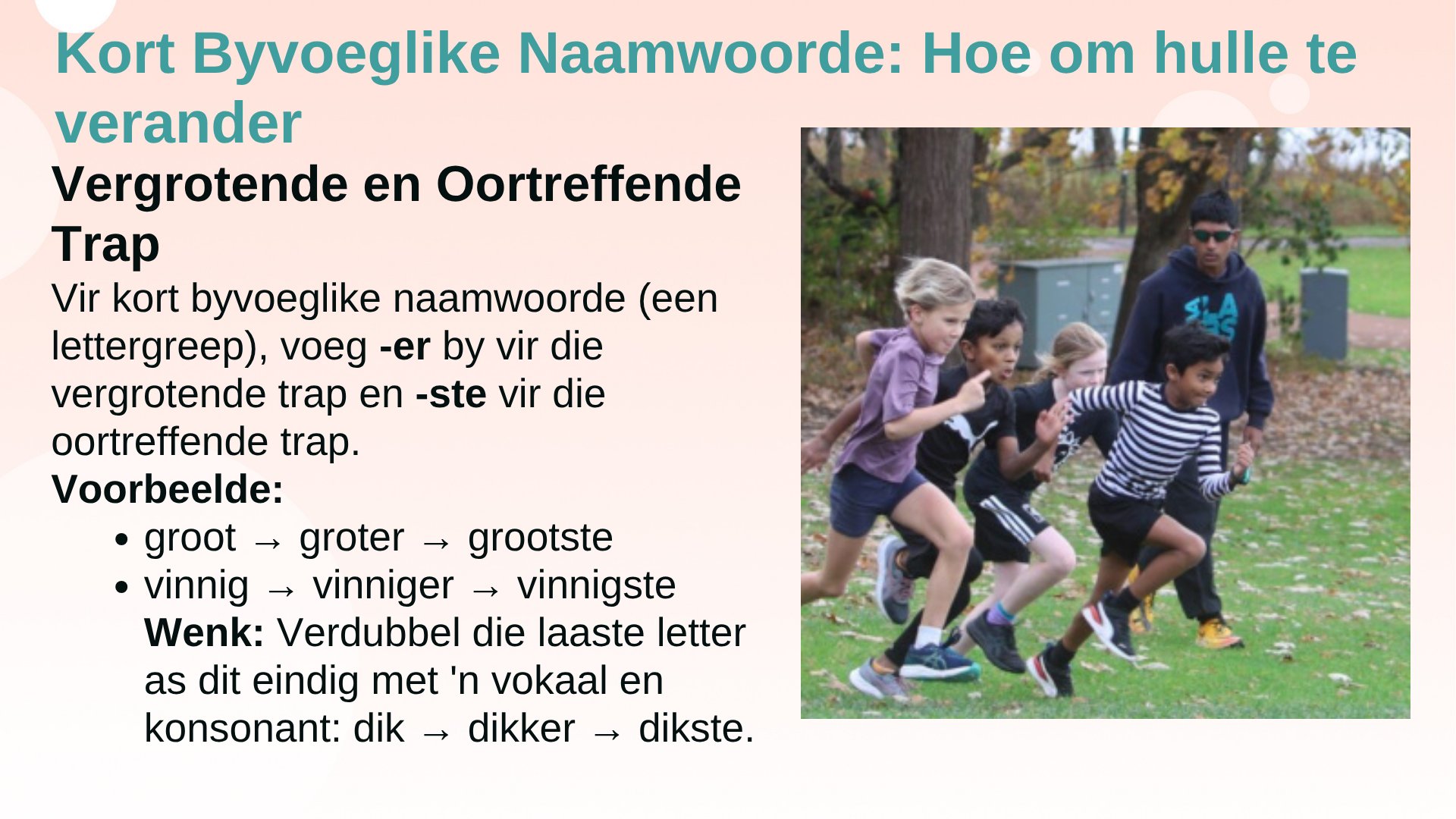 Wat is Trappe Van Vergelyking?