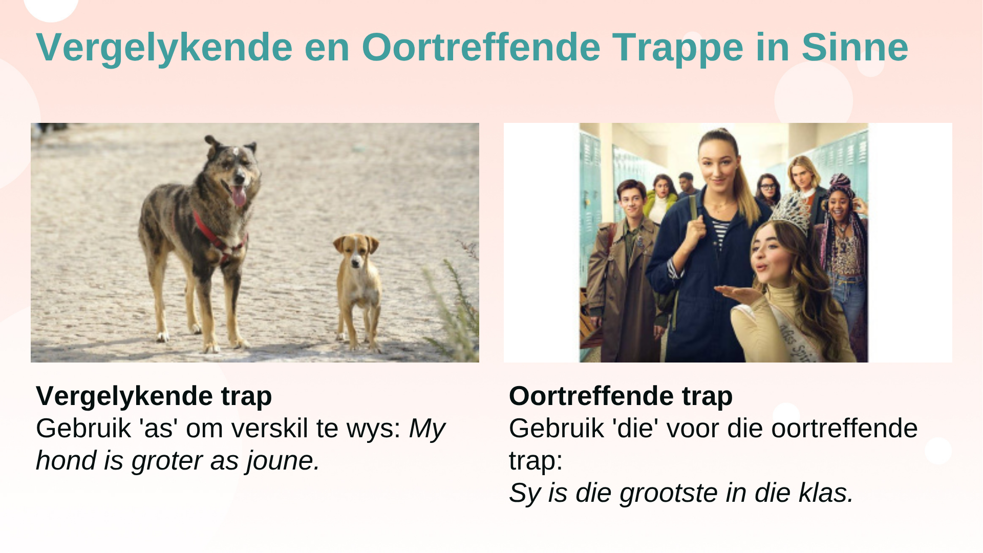 Wat is Trappe Van Vergelyking?